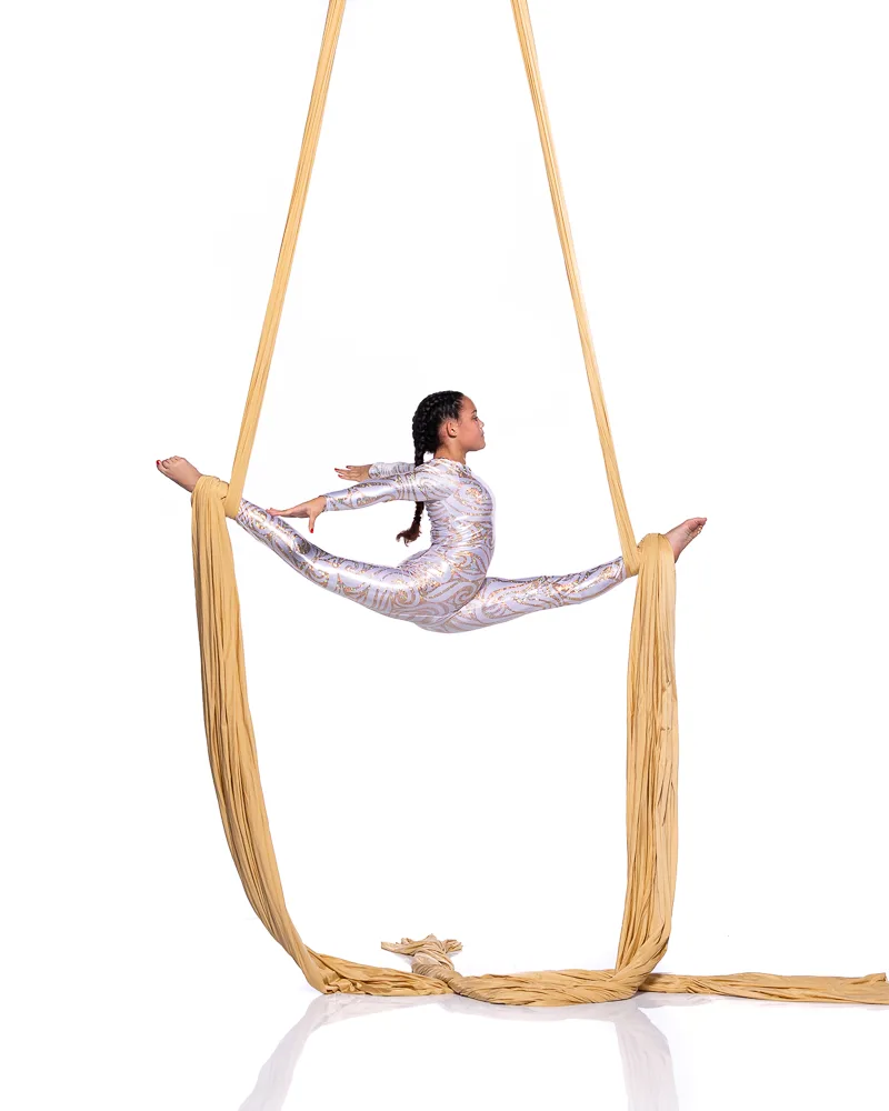Florida Aerial Dance & Circus Arts LLC - Dance Studio in Stuart, Florida