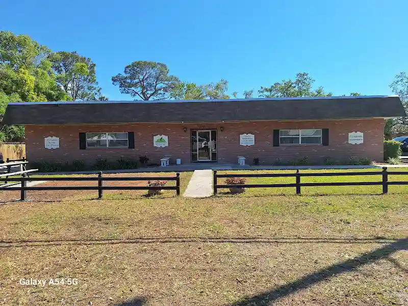 Jeanne Lynn Dance Studio - Dance Studio in St. Petersburg, Florida