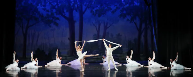 New Tampa Dance Theatre - Dance Studio in Tampa, Florida