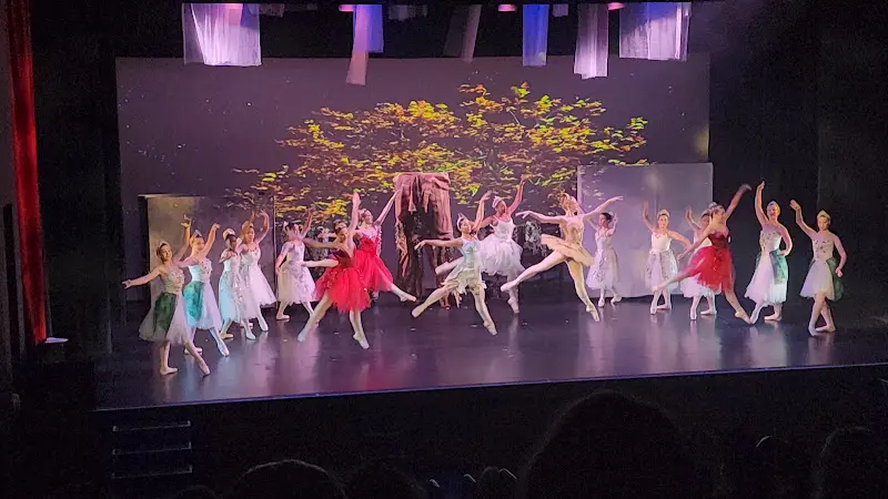 Tampa City Ballet Dance School - Dance Studio in Tampa, Florida