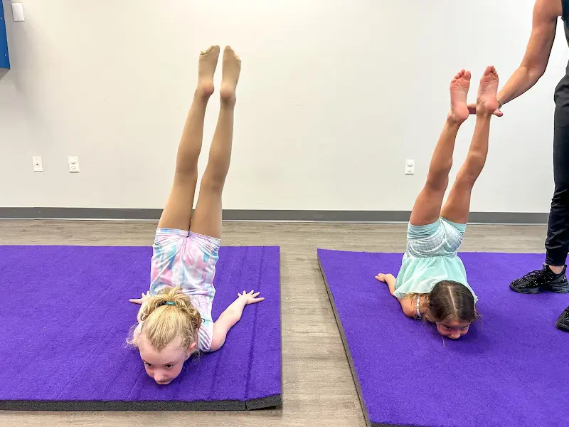 The Dance Connection - Dance Studio in St. Augustine, Florida