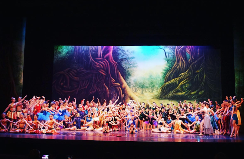 Maria Verdeja School of the Arts - Dance Studio in Miami, Florida