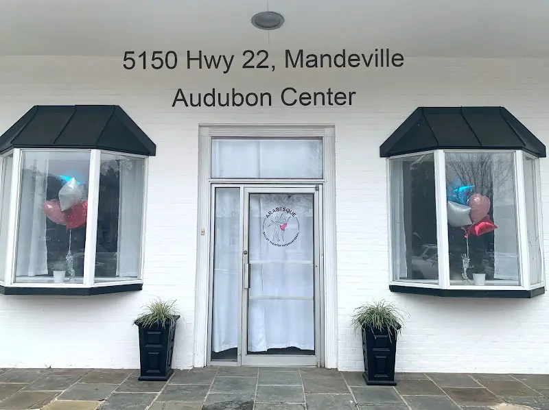 Arabesque Ballet Theater International, LLC - Dance Studio in Mandeville, Louisiana