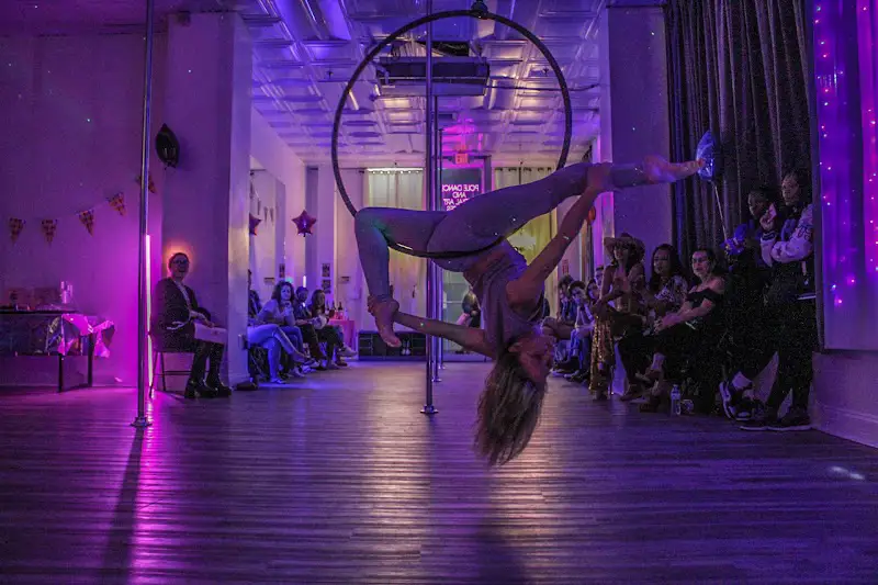 Lovely Lioness Pole Dance & Aerial Fitness - Dance Studio in Atlantic City, New Jersey