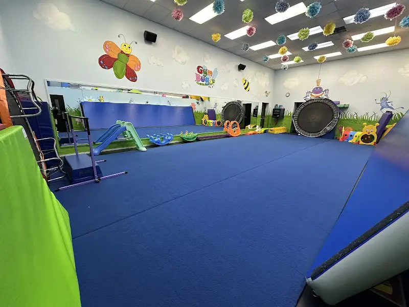 Revolution Dance - Dance Studio in Knoxville, Tennessee