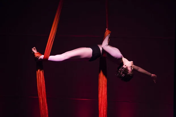 Night Owl Circus Arts North - Dance Studio in Johnson City, Tennessee