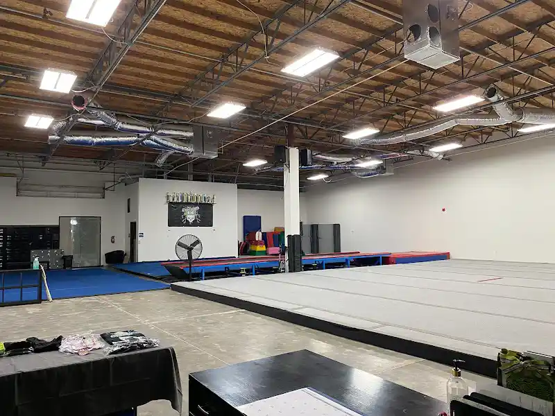 Dance Attack - Dance Studio in Mesa, Arizona