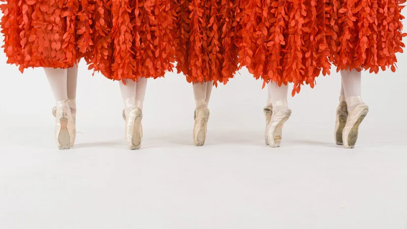 Treasure Valley Ballet Academy - Dance Studio in Meridian, Idaho