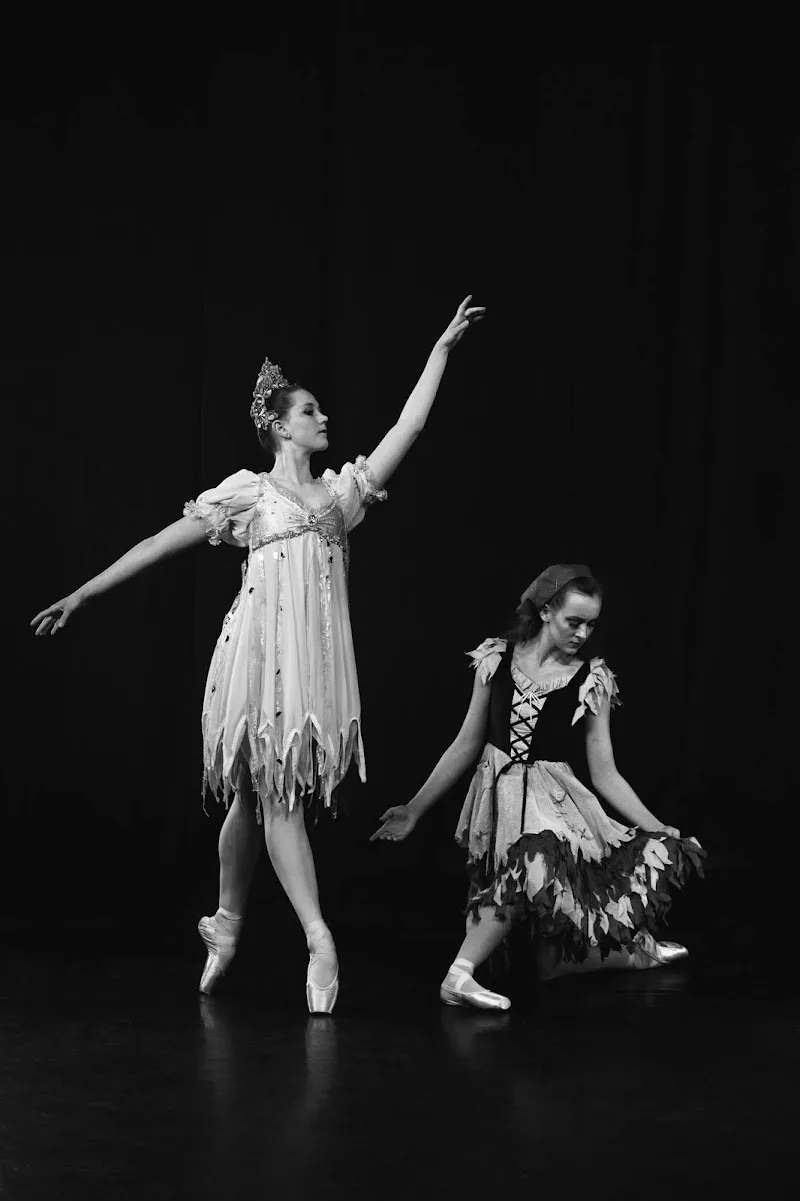 Ann Brodie's Carolina Ballet - Dance Studio in Columbia, South Carolina
