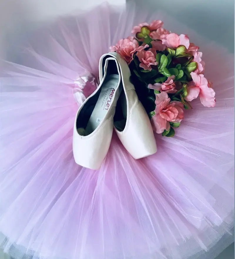 The European Ballet School - Dance Studio in Buford, Georgia