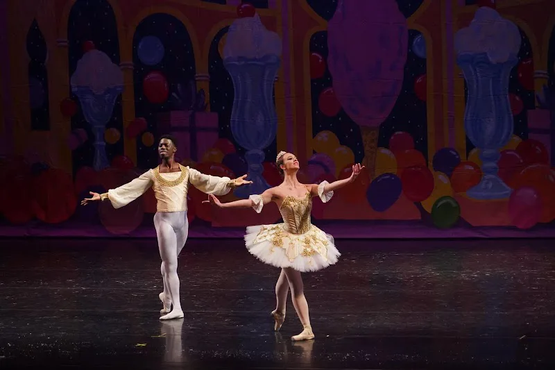 Palmetto Conservatory of Dance - Dance Studio in Columbia, South Carolina