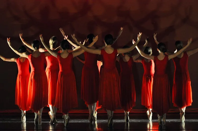 The Pure Movement Dance Institute - Dance Studio in Lincoln, Nebraska