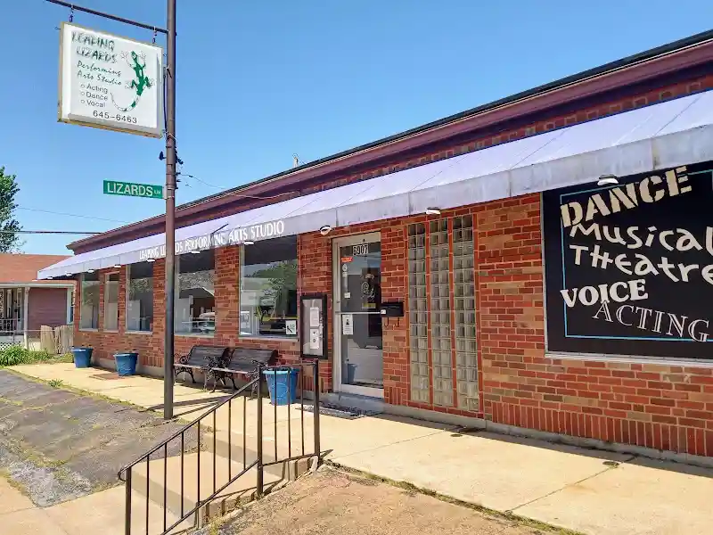 Leaping Lizards Performing Art - Dance Studio in St. Louis, Missouri