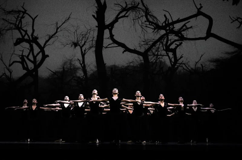 Crescendo Conservatory - Dance Studio in Olathe, Kansas