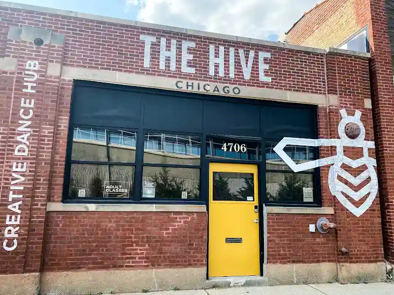 THE HIVE - Dance Studio in Chicago, Illinois