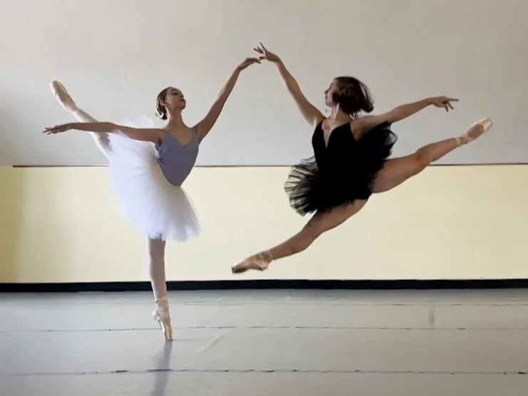 Tye Chua Dance & Kalamazoo Ballet - Dance Studio in Kalamazoo, Michigan