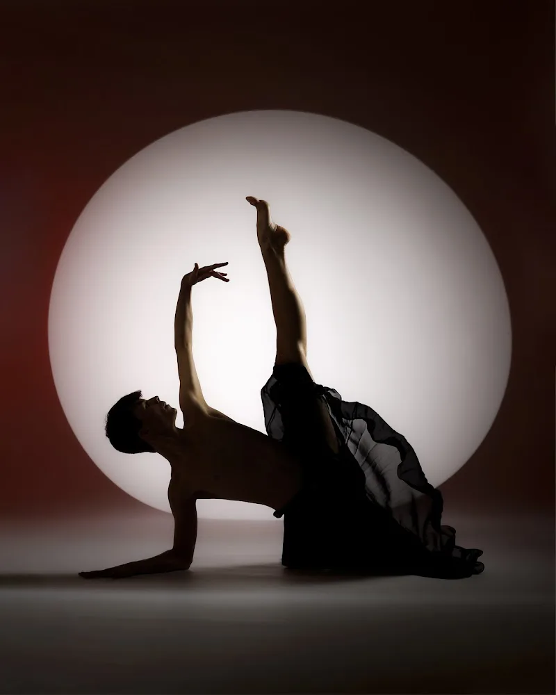 Madison Professional Dance Center, LLC - Dance Studio in Madison, Wisconsin