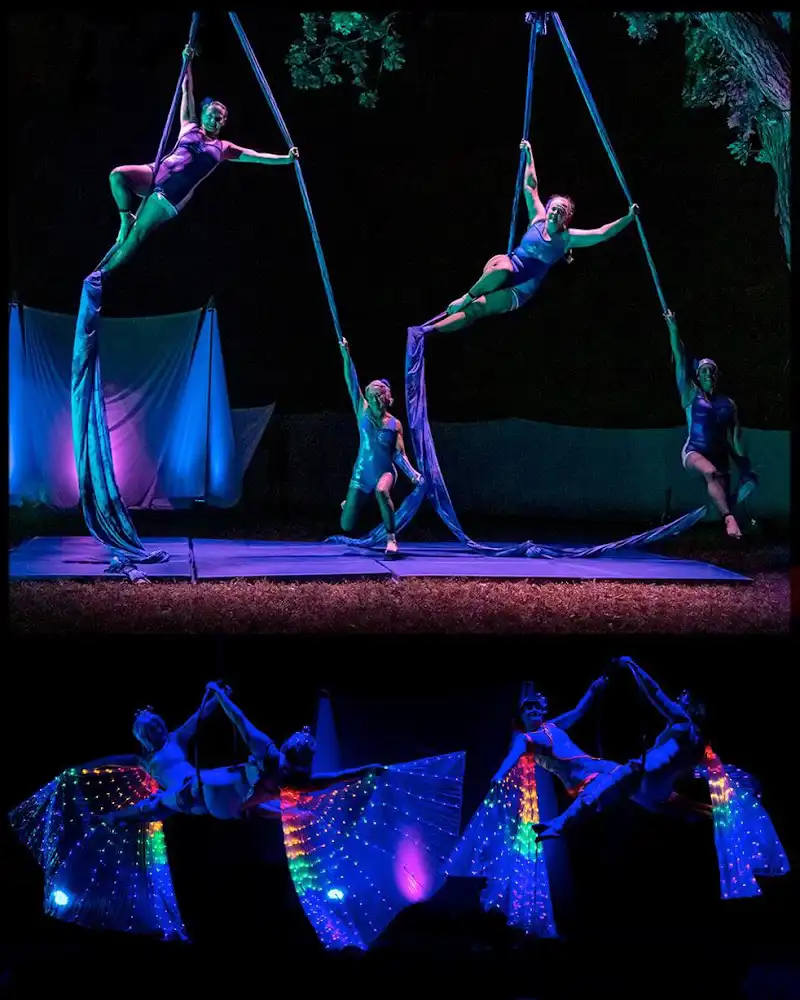 Cycropia Aerial Dance - Dance Studio in Madison, Wisconsin