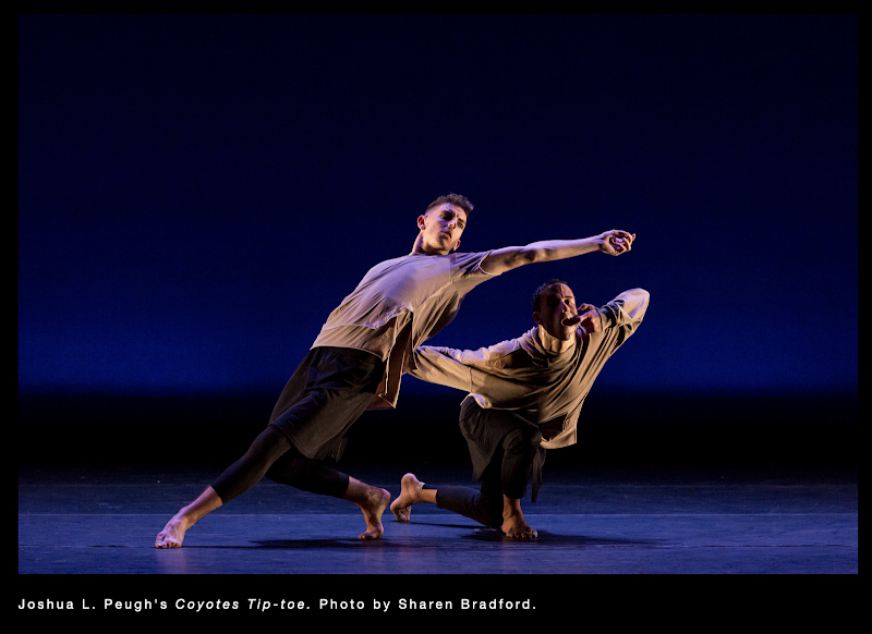 Dark Circles Contemporary Dance - Dance Studio in Las Cruces, New Mexico