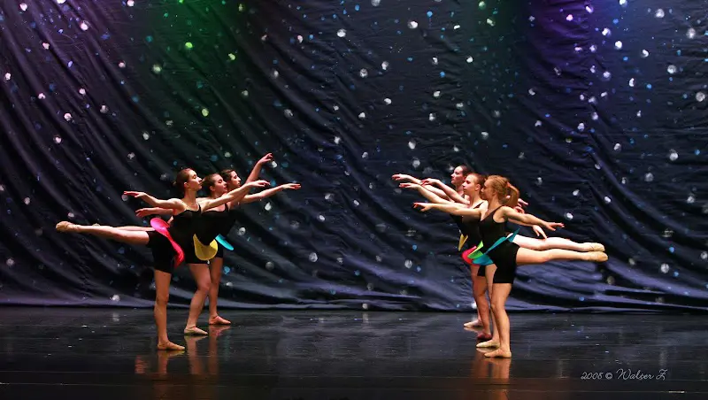 Northeast Academy of Dance - Dance Studio in Michigan