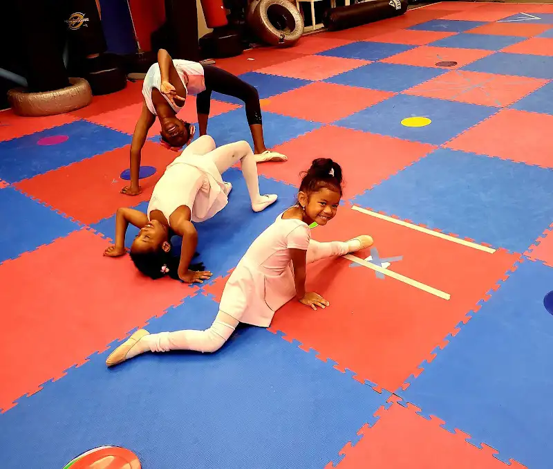 The Alternative Performing Arts - Dance Studio in Raleigh, North Carolina