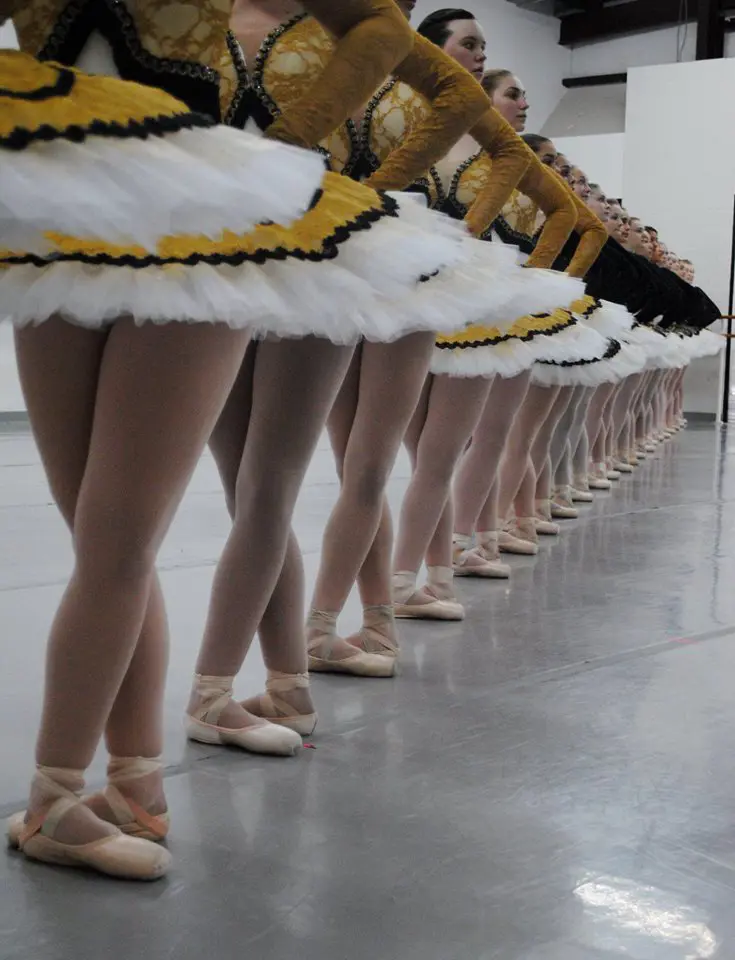 Ballet Center of Houston - Dance Studio in Houston, Texas