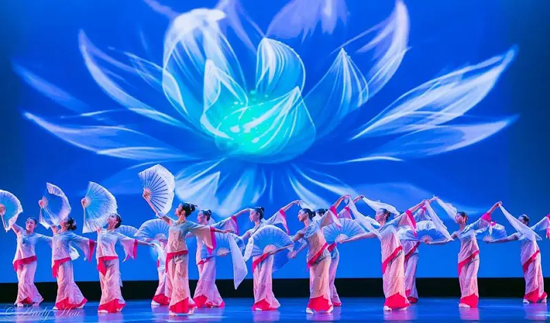 Dance of Asian America - Dance Studio in Houston, Texas