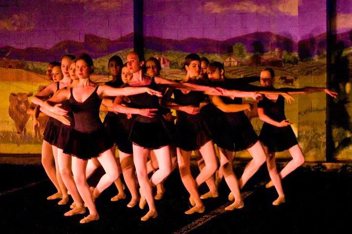 Albemarle Ballet Theatre - Dance Studio in Crozet, Virginia