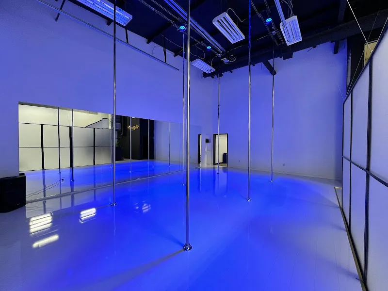 Two Sparrows Aerial Dance Co. - Dance Studio in Fredericksburg, Virginia