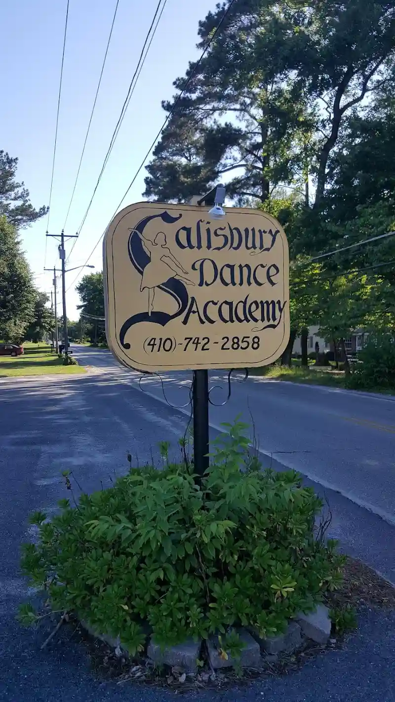 Salisbury Dance Academy - Dance Studio in Fruitland, Maryland