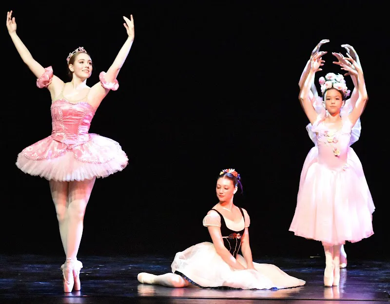 River City Youth Ballet Ensemble & School of Dance - Dance Studio in Charleston, West Virginia