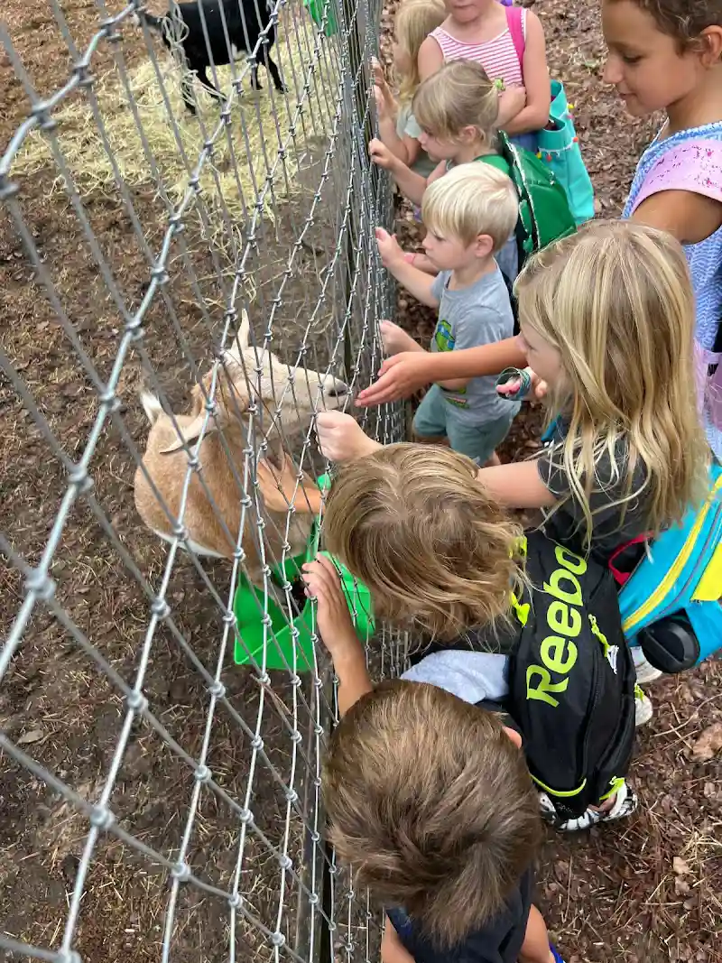 Heart Beatz Dance Academy - James Island - Dance Studio in Charleston, South Carolina