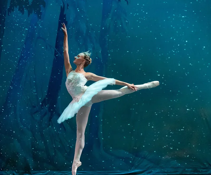 Lexington Ballet Company - Dance Studio in Lexington, Kentucky