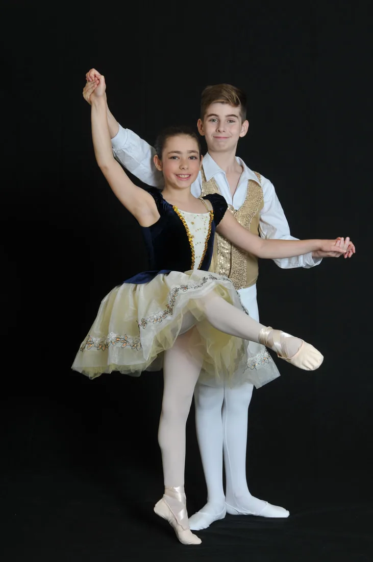 Urbana Fine Arts Center - Dance Studio in Urbana, Illinois