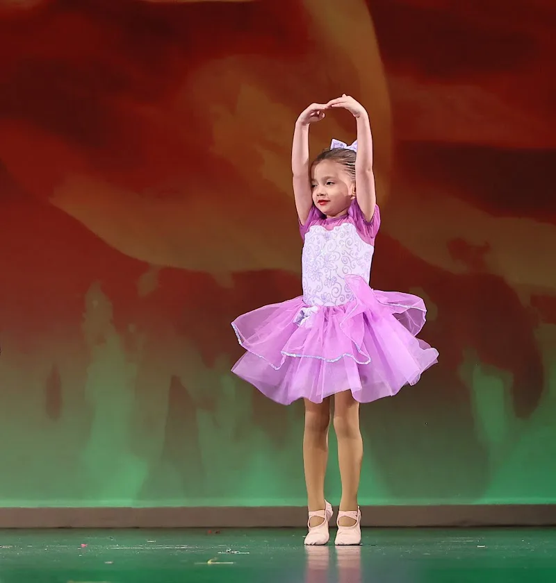 Southwest Synergy Dance - Dance Studio in Tinley Park, Illinois