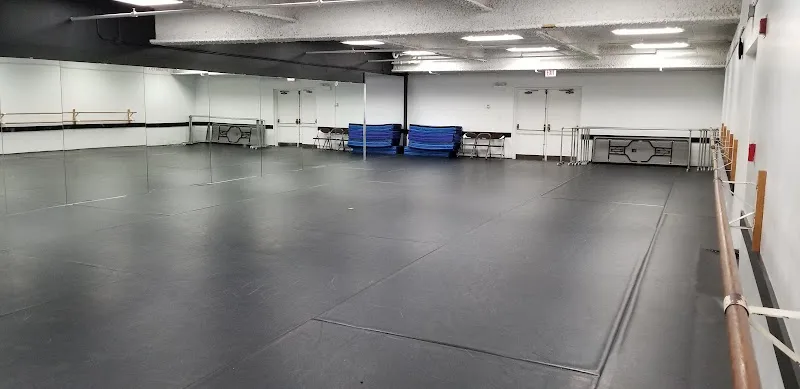 Dance- Chicago Multicultural Dance - Dance Studio in Chicago, Illinois