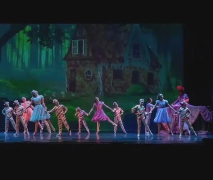 Lake Erie Ballet Company - Dance Studio in Erie, Pennsylvania