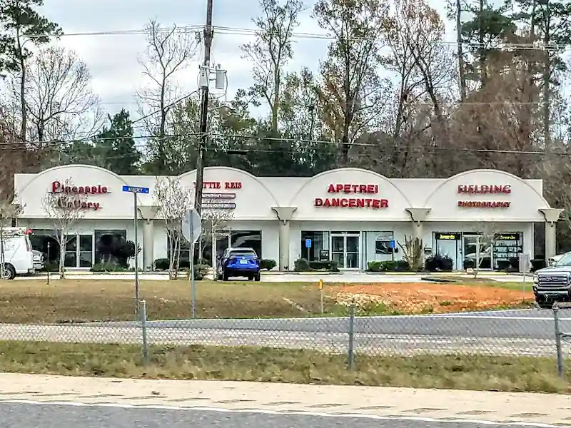 Apetrei Dancenter - Dance Studio in Mandeville, Louisiana