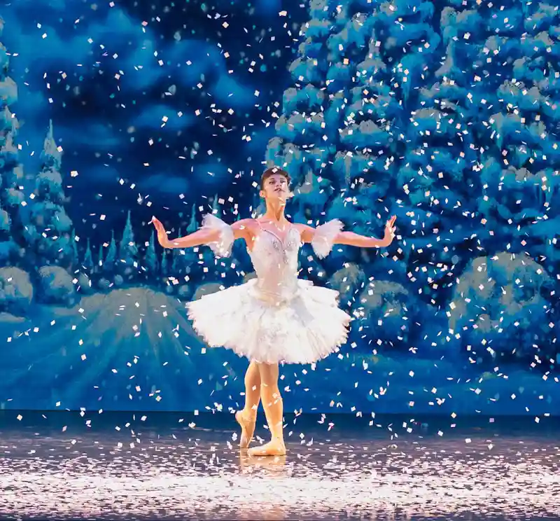 Academy of the Dance / Wilmington Ballet - Dance Studio in Wilmington, Delaware