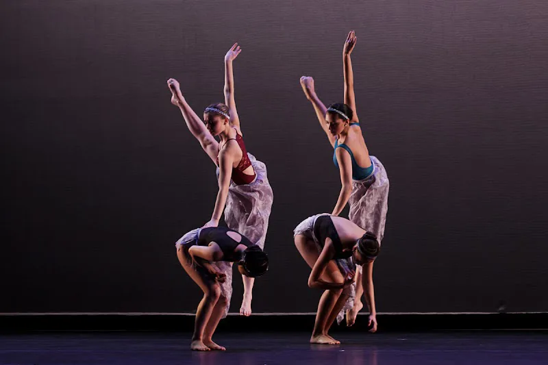 Delaware Dance Company - Dance Studio in Newark, Delaware