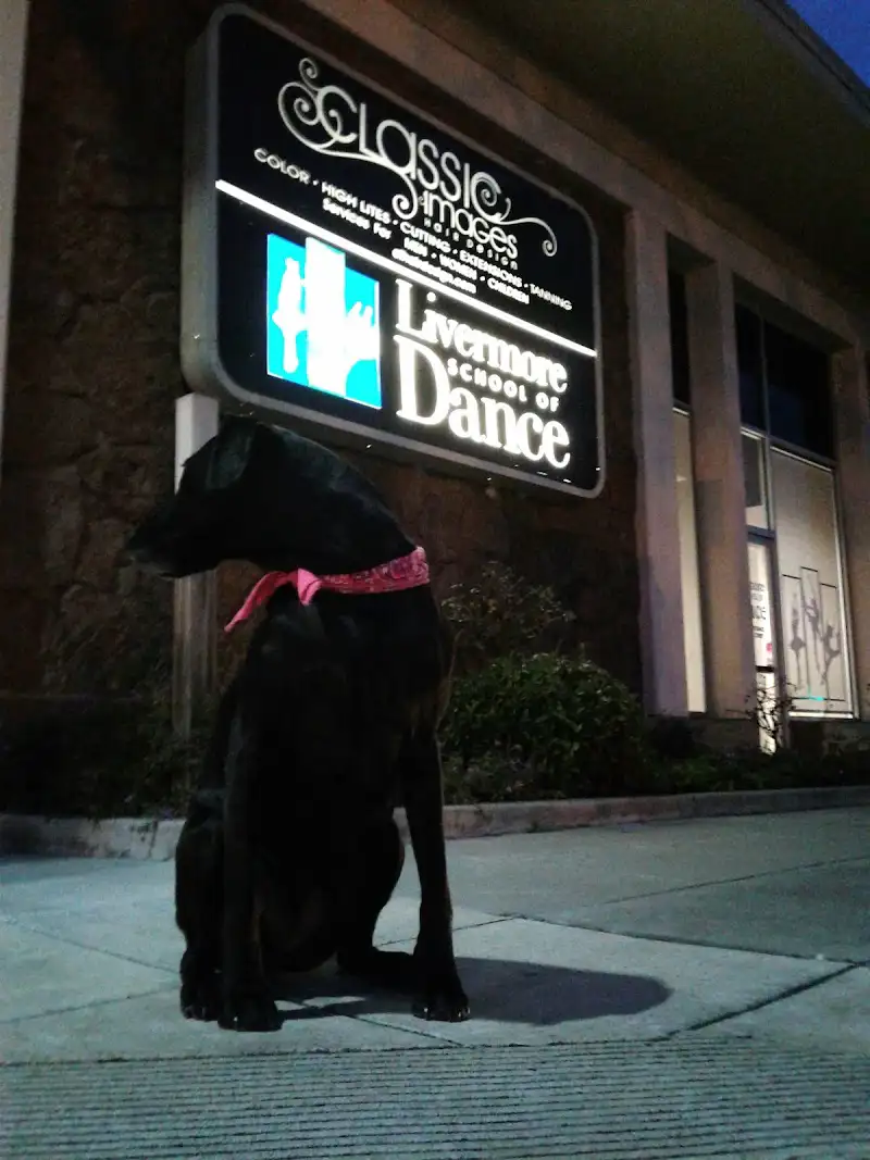 Livermore School of Dance - Dance Studio in Livermore, California