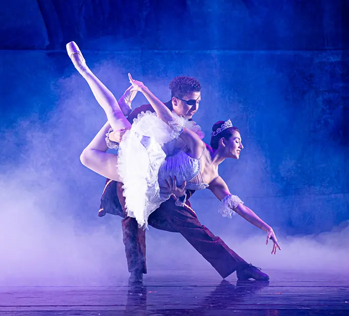 Peninsula Lively Arts - Dance Studio in San Mateo, California