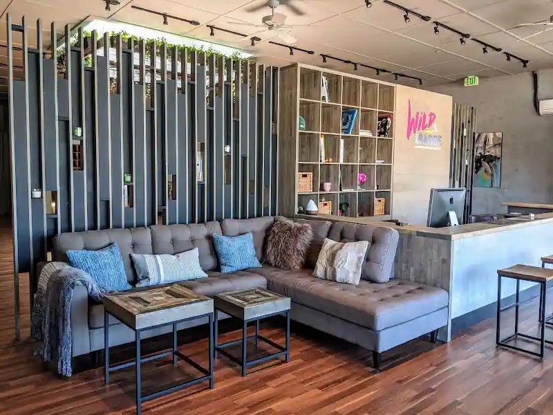 Wild & the Barre Fitness Studio - Dance Studio in Redwood City, California