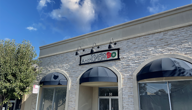 Studio Anthurium (English-Russian speaking classes for bilingual kids and adults, Decor, Event Venue and planning) - Dance Studio in San Mateo, California