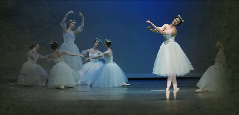 Pamela Hayes Classical Ballet - Dance Studio in El Dorado Hills, California
