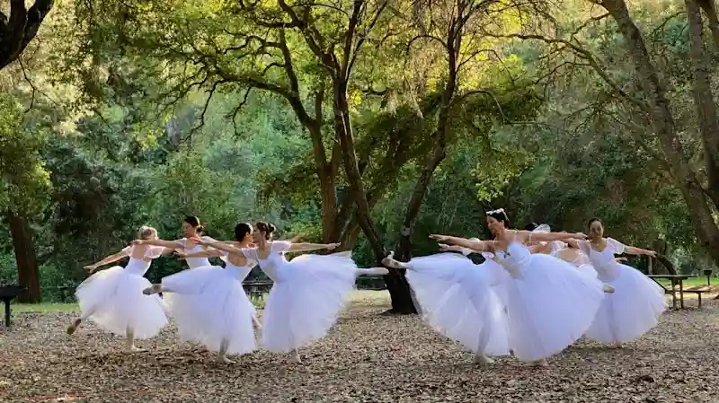 Yu Xin Ballet School - Dance Studio in San Jose, California