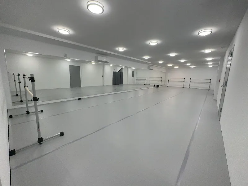XIN'S DANCE STUDIO - Dance Studio in Brooklyn, New York